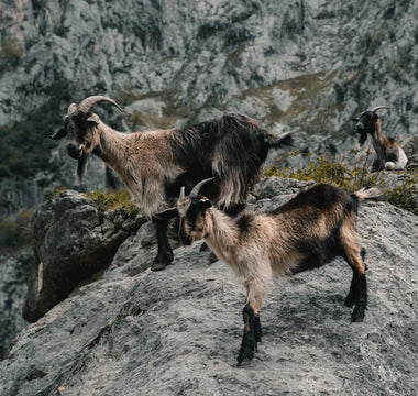 Xplora te acompaña en tus aventuras en los parques naturales de España